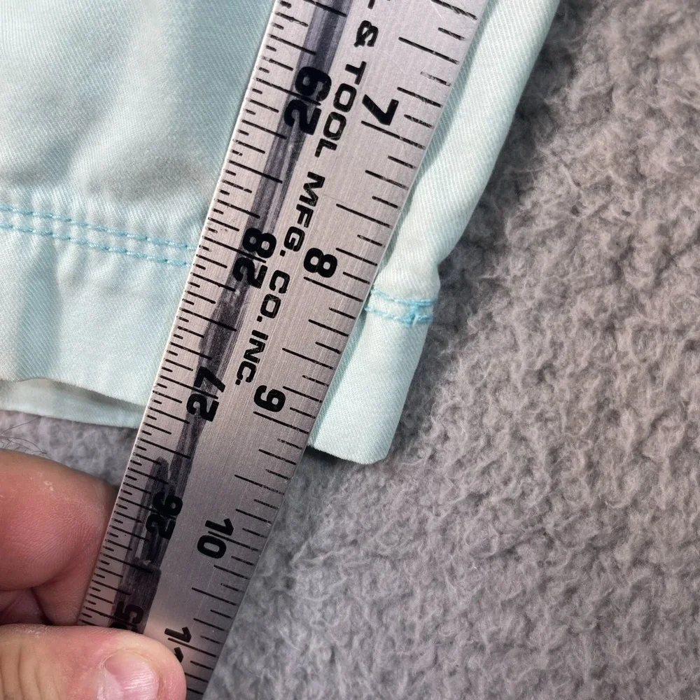 AMERICAN EAGLE SHORTS SIZE‎ 30W x 9L MENS Mint Green BEACH CASUAL